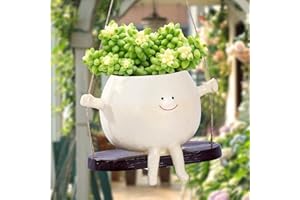 FLIXORAN Swing Face Planter PotUnique Gift Ideas - Hanging Resin Flower Cute and Outdoor Head Planters for Indoor Succulent Pots