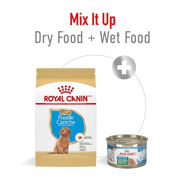 ROYAL CANIN BREED HEALTH NUTRITION POODLE PUPPY DRY DOG FOOD, 2.5 LB BAG
