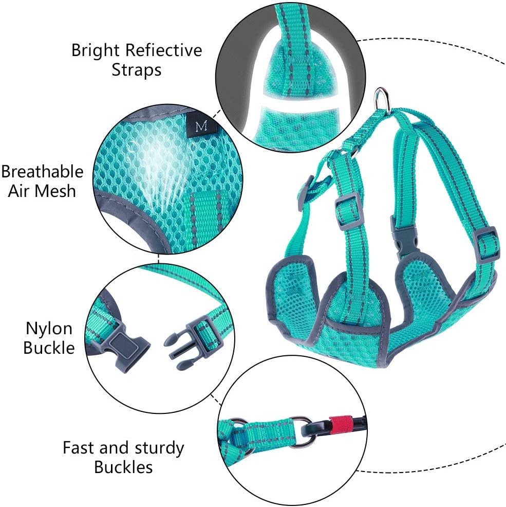 ThinkPet Reflective Breathable Soft Air Mesh No Pull Puppy Choke Free Over Head Vest Ventilation Harness for Puppy Small Medium Dogs (Neon Green, S) : Kitchen & Dining