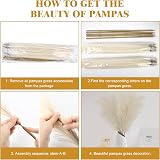 Woltoy Pampas Grass 5 Pcs Dried Look Artificial Stems 96cm Beige Boho view 4
