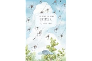 The Life of the Spider