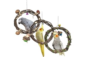 WQY Groceryshop 3Pcs Parrot Swing, Natural Wood Bird Perch Climbing Toys for Parrots Budgie Parakeet Cockatiel Cockatoo Conure Toys, Parrot Accessories (18cm/19.5cm/28cm)