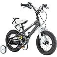 RoyalBaby Kids Bike EZ Balance to Pedal Dual Handbrake Toddlers Boys Girls Bicycle 12-20 Inch for Age 3-10 Years