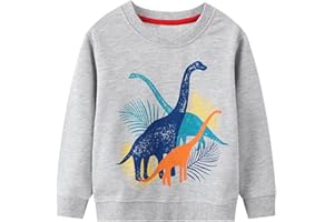 HOMAGIC2WE Toddler Boys Sweatshirts Kids Fall Cotton Long Sleeve Crewneck Casual Cartoon Pullover Loose Soft Outfit Shirt