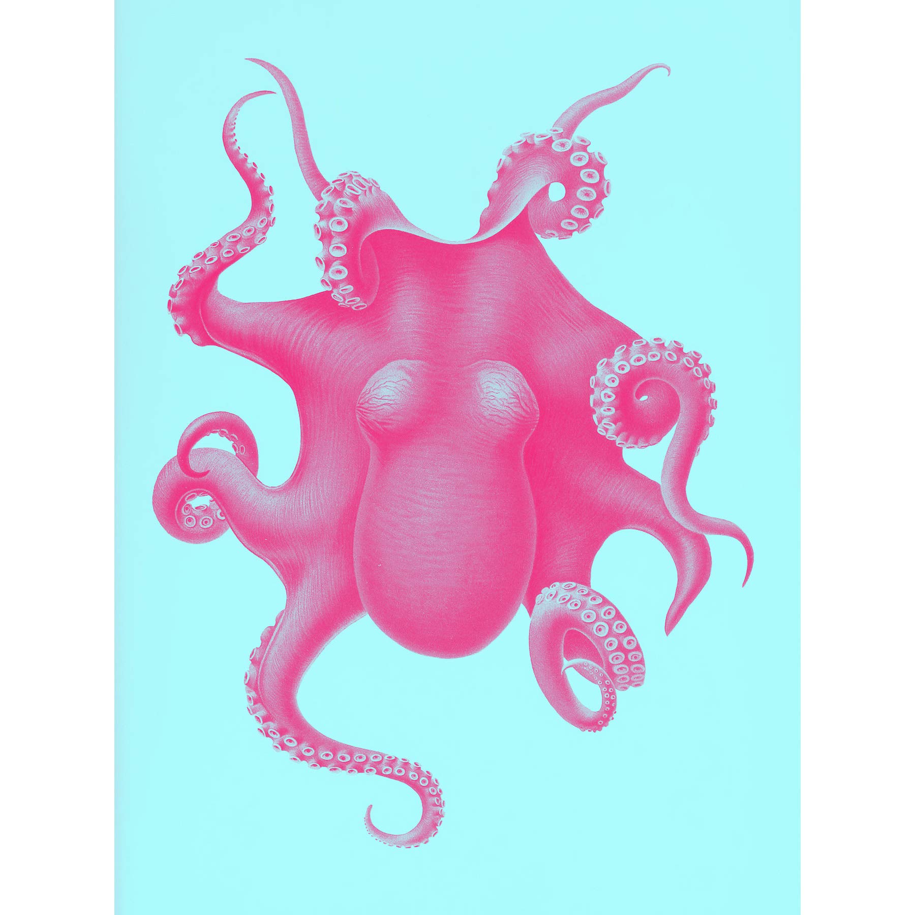 Wee Blue Coo Pink Octopus Vintage Illustration Large Wall Art Print Canvas Premium Poster