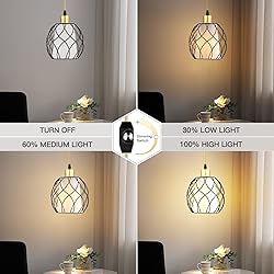 Ruzectt Plug in Pendant Light,Hanging Light with