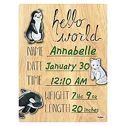 Cohas Hello World Newborn Baby Announcement Printed