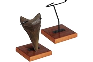 Chunful 2 Pcs Metal Display Stand Megalodon Shark Tooth Display Holder with Wood Base for Mineral Agate, Rocks Crystal, Gemstones, Fossils, Coral Geodes, Plate and Photo
