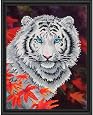 Amazon.com: Diamond Dotz DD7.007 Artwork, Multicolor