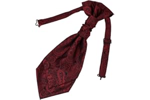 Epoint ERB1B02C Red Patterned Ascot Accessories Formal Wear Mens Silk Cravat Gifts for Marriage