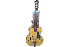 NEW 2018 CHATURANGUI MOHAN VEENA INDIAN RESONATING SLIDE GUITAR WITH SIDE CHIKARI + GIGBAG + SPARE STRING SET