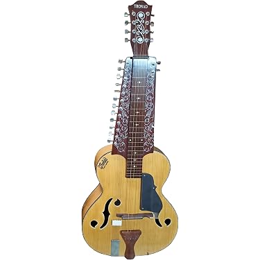 NEW 2018 CHATURANGUI MOHAN VEENA INDIAN RESONATING SLIDE GUITAR