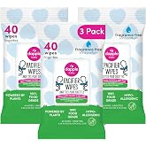 Dapple Baby - Pacifier Wipes for Infants and Toddlers - 40 Count (3 Pack) | Fragrance-Free, Hypoallergenic &amp; Food-Grade, Diaper Bag Essentials