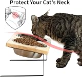 FUKUMARU Elevated Cat Bowls 15° Tilted Stand Stainless Steel Bamboo Feeding view 2