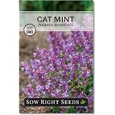 Sow Right Seeds - Catmint Seed for Planting Perennial Cat Mint Garden | Plant non-GMO heirloom medicinal variety for outdoor or indoor hydroponics. Flowers for herbal tea gardening and pollinators.