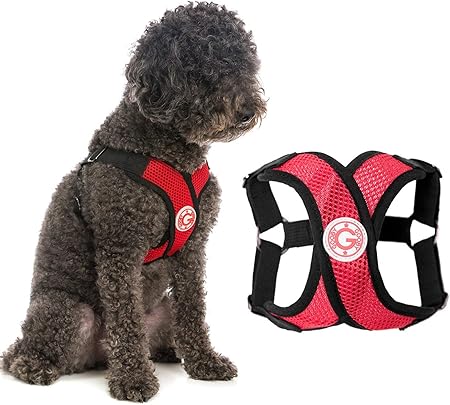 comfort harness for large dogs