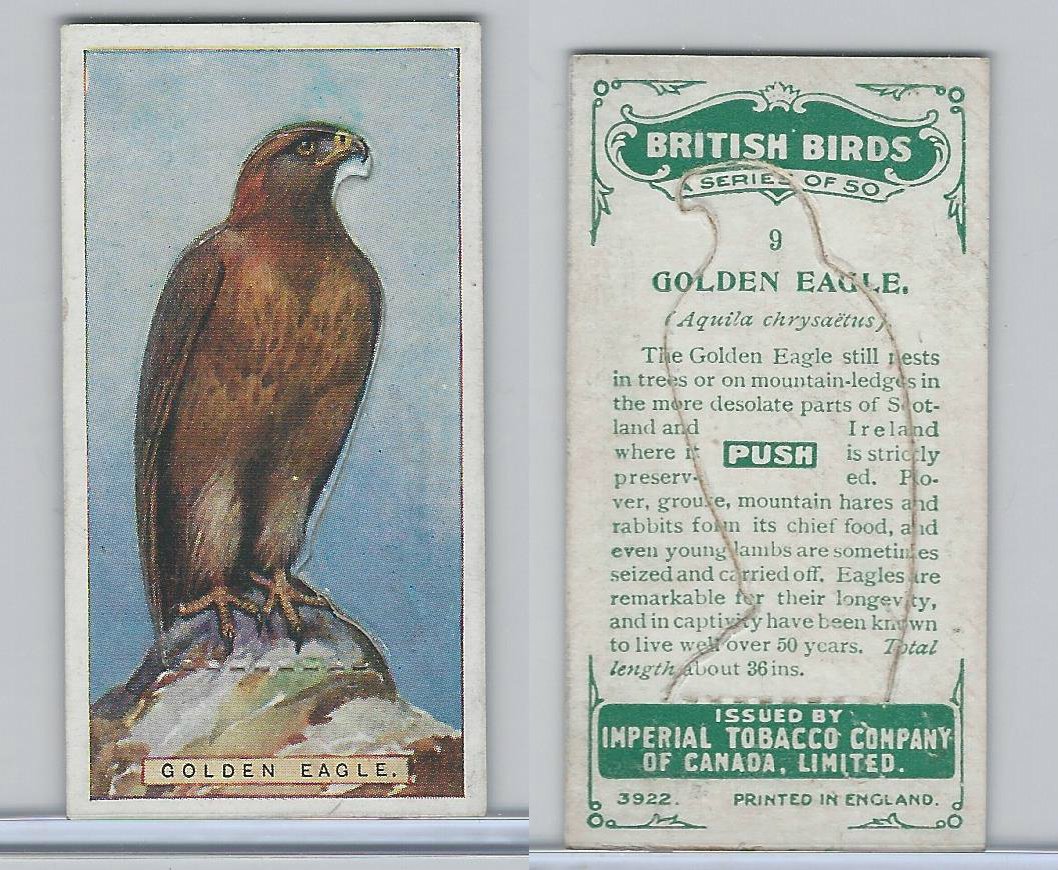 C4 Imperial Tobacco British Birds 1923 9 Golden Eagle At