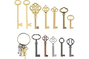 MZCVRIRU 12PCS Hollow Barrel Skeleton Key, Hollow Skeleton Keys, Vintage Furniture, Vintage Locks, Decorations