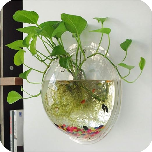 fish tank planter