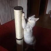 Tiragraffi Kerbl Opal-Maxi Beige – 78 Cm Con Base 38x38 Cm, Sisal Incollato E Palla Gioco Inclusa