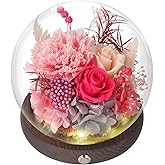 SUOSIHUALI Valentines Day Gifts for Her, Forever Rose Birthday Gifts for Women, Preserved Flowers in Glass Dome, Eternal Flowers for Delivery Prime (Pink Rose)