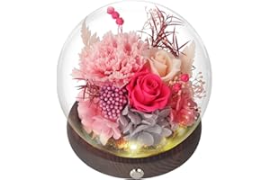 Forever Rose Birthday Gifts for Women, Eternal Flowers for Delivery Prime, Preserved Pink Rose Flowers in Glass Dome for Mom 