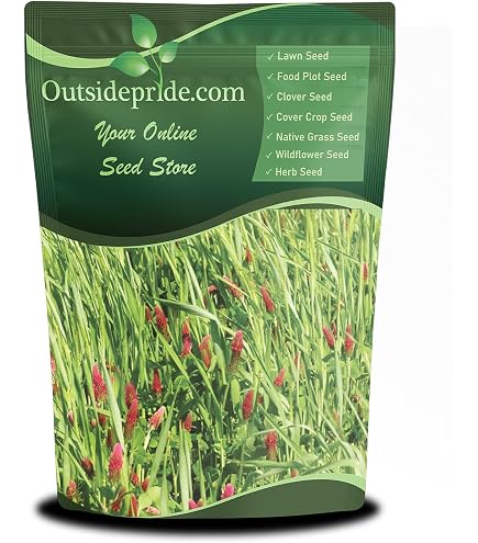 1200+ Crimson Red Clover Seeds - NON-GMO, Pollinator-Friendly Cover Crop, Fast-Growing