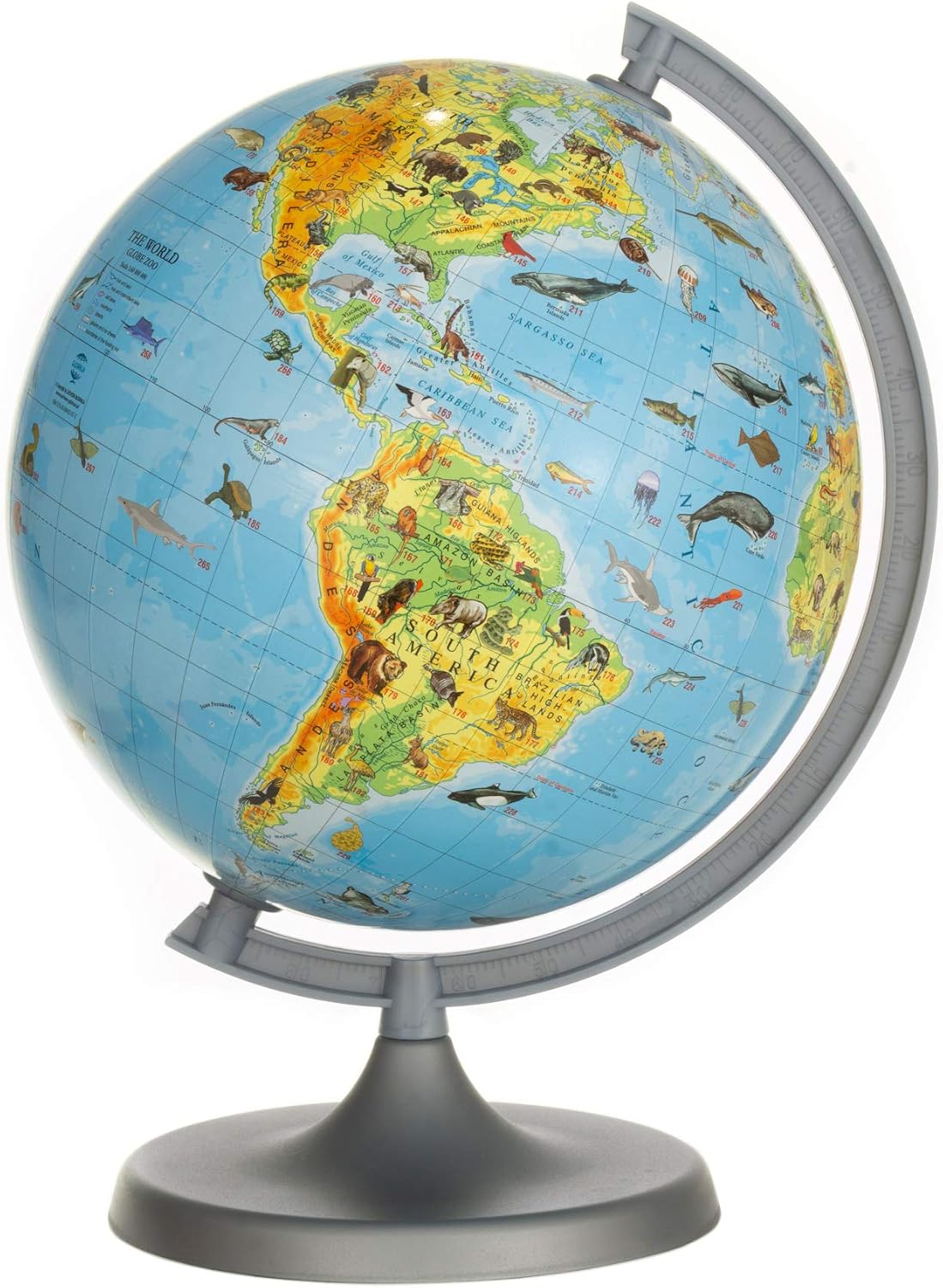 Animals 22cm Globe - Young Kids Globes, Ocean Blue, Green - Image 3