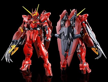 100 RGX-00 Testament Gundam Model kit 