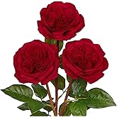 Arborus Artificial Roses - Set of 3 Long-Stem Real Touch Silk Rose, 24.4" Faux Flowers for Home Decor, Wedding Bouquets, Centerpieces & Floral Arrangements – Lifelike Red Fake Roses