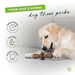 Benebone Zaggler Rolling Dog Chew Toy for