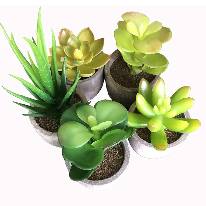 Uyue Decorative Faux Succulent, Fake Plants Artificial
