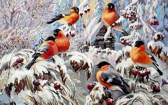 CaptainCrafts Neu Malen Nach Zahlen Kits 16x20 für