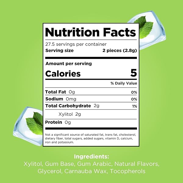 PUR GUM | ASPARTAME FREE CHEWING GUM | 100% XYLITOL | NATURAL COOLMINT FLAVORED GUM, 55 PIECES (PACK OF 1)