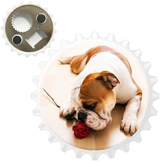 British Bulldog Inglés abridor de botellas imán para nevera, Bull ...