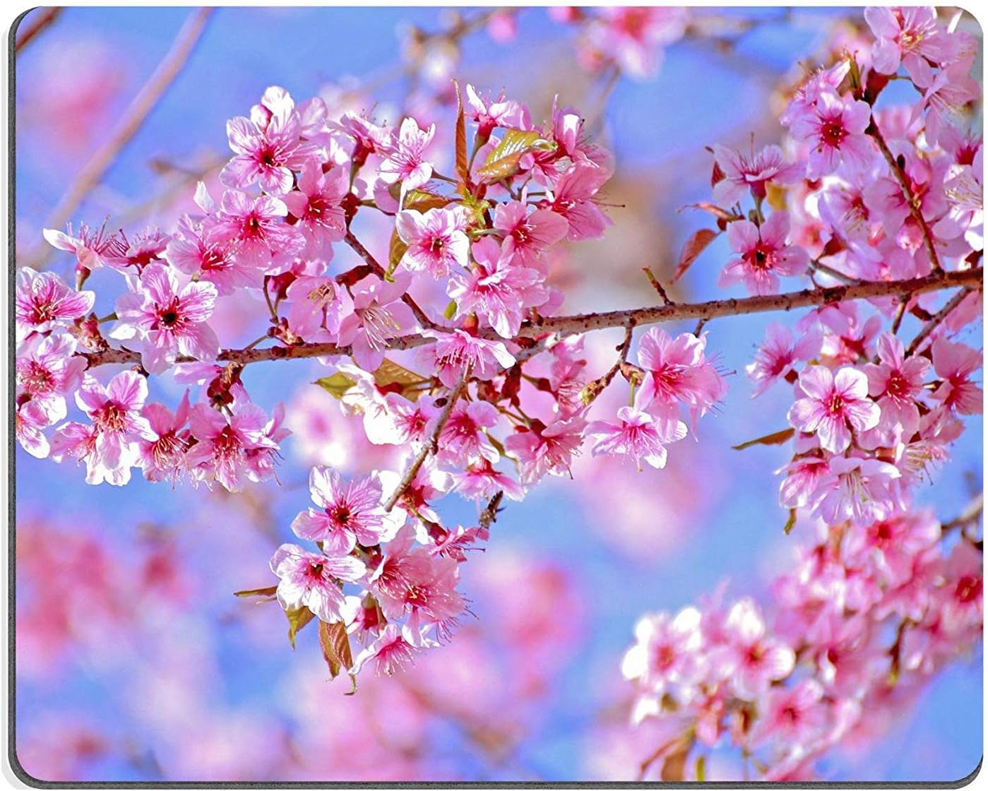 Thai Sakura Image 39177696 Customized Rectangle Mousepad, Gaming Mouse Pad Mouse Mat