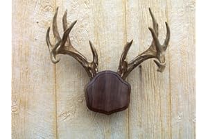The Taxidermists Woodshop Black Walnut "The Deer Stand" Antler Mounting Kit