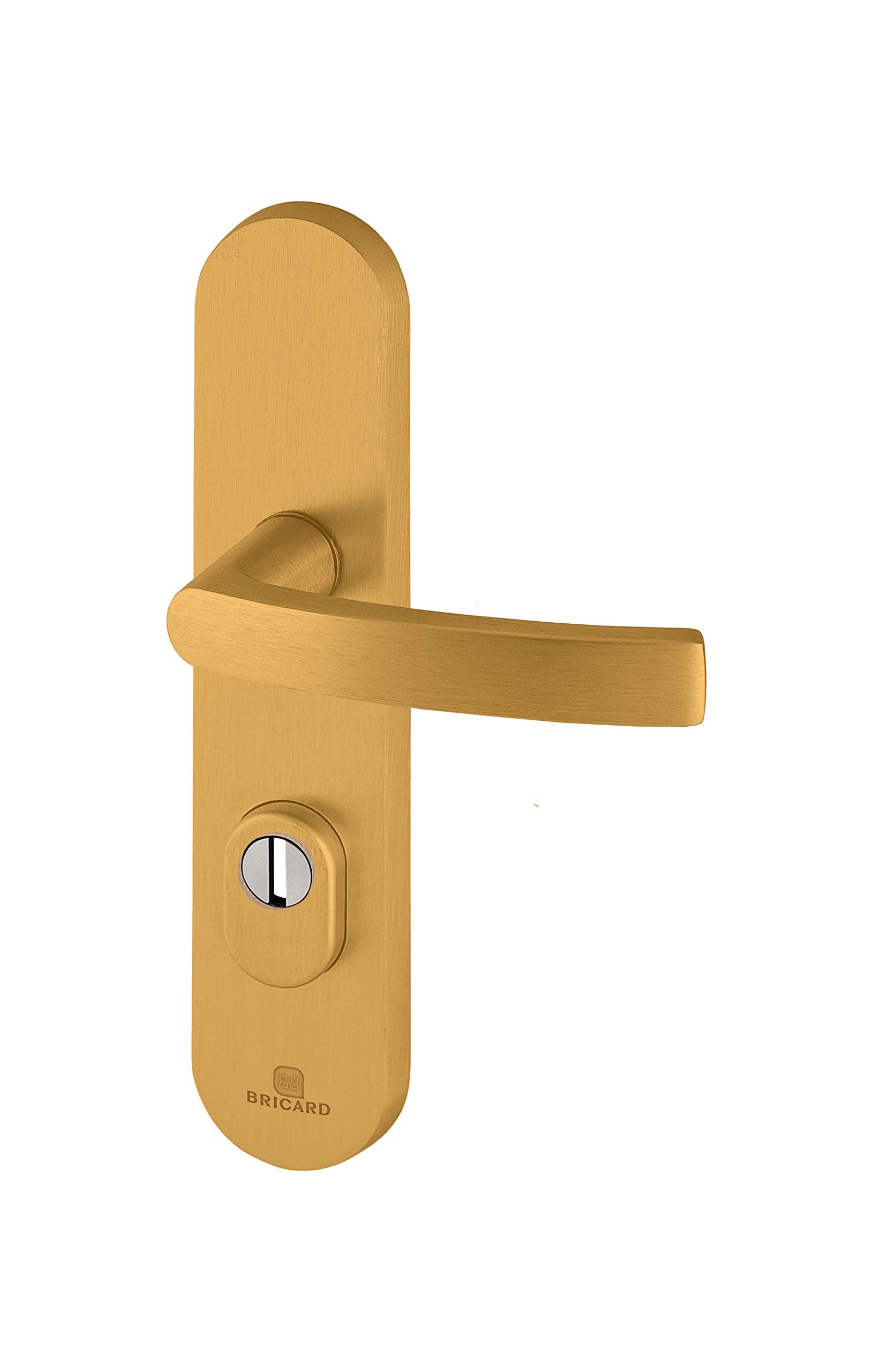 Bricard 9900051 Set of Armoured Handles on Essential Plate, 9900131