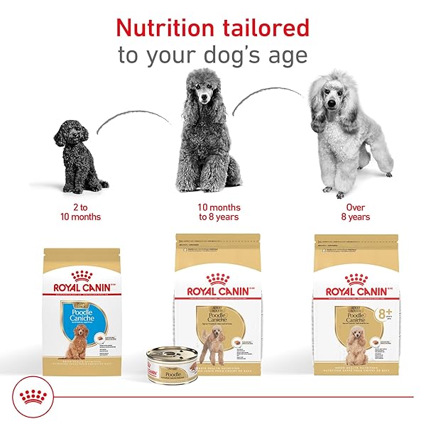 ROYAL CANIN BREED HEALTH NUTRITION POODLE PUPPY DRY DOG FOOD, 2.5 LB BAG