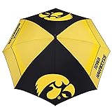 Team Effort NCAA Iowa Hawkeyes 62" Windsheer Lite