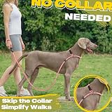 Fida Slip Lead for Dogs 1.8m Pink Reflective Training Rope Leash view 4