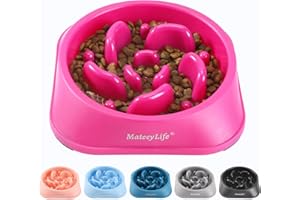 MateeyLife Slow Feeder Dog Bowls, Anti-Choking Puzzle Dog Food Bowls, Anti-Slip Interactive Feeding Slow Down Eating, Bloat Stop Maze Dishes for Medium Large Breeds Purple