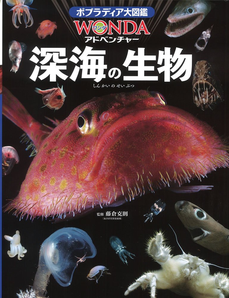 深海の生物 Wondaアドベンチャー 克則 藤倉 本 通販 Amazon