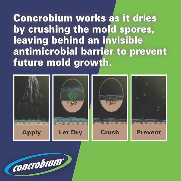 CONCROBIUM MOLD CONTROL AEROSOL, 14.1 OZ – ELIMINATES & PREVENTS MOLD – EPA REGISTERED, BLEACH-FREE, ODORLESS, VOC-FREE – FOR INDOOR & OUTDOOR SURFACES, MID-SIZED JOBS, AND HARD-TO-REACH AREAS