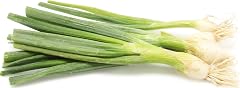 Green Onion (Scallions) Organic, 1 Bunch