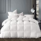 Globon Winter White Goose Down Comforter Queen Size,Down Duvet Insert,800 Fill Power,420 Thread Count Ultra Soft Noiseless Shell with Corner Tabs,White