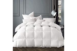 Globon Winter White Goose Down Comforter King Size,Down Duvet Insert, 800 Fill Power, 420 Thread Count,Ultra Soft Noiseless Shell with Corner Tabs, White
