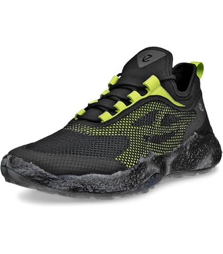 Amazon.com | ECCO Men's Biom C4 Boa Gore-tex Waterproof Golf Shoe