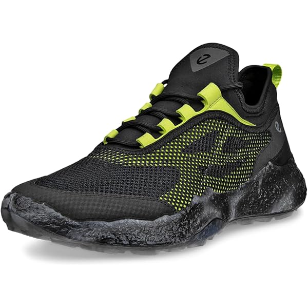 Amazon.com | ECCO Men's Biom 720 Gore-TEX Waterproof Leather
