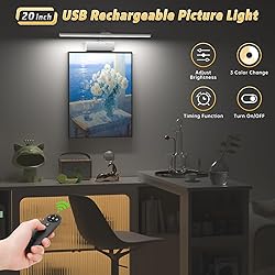 Picture Light with Remote, 20inch Wireless